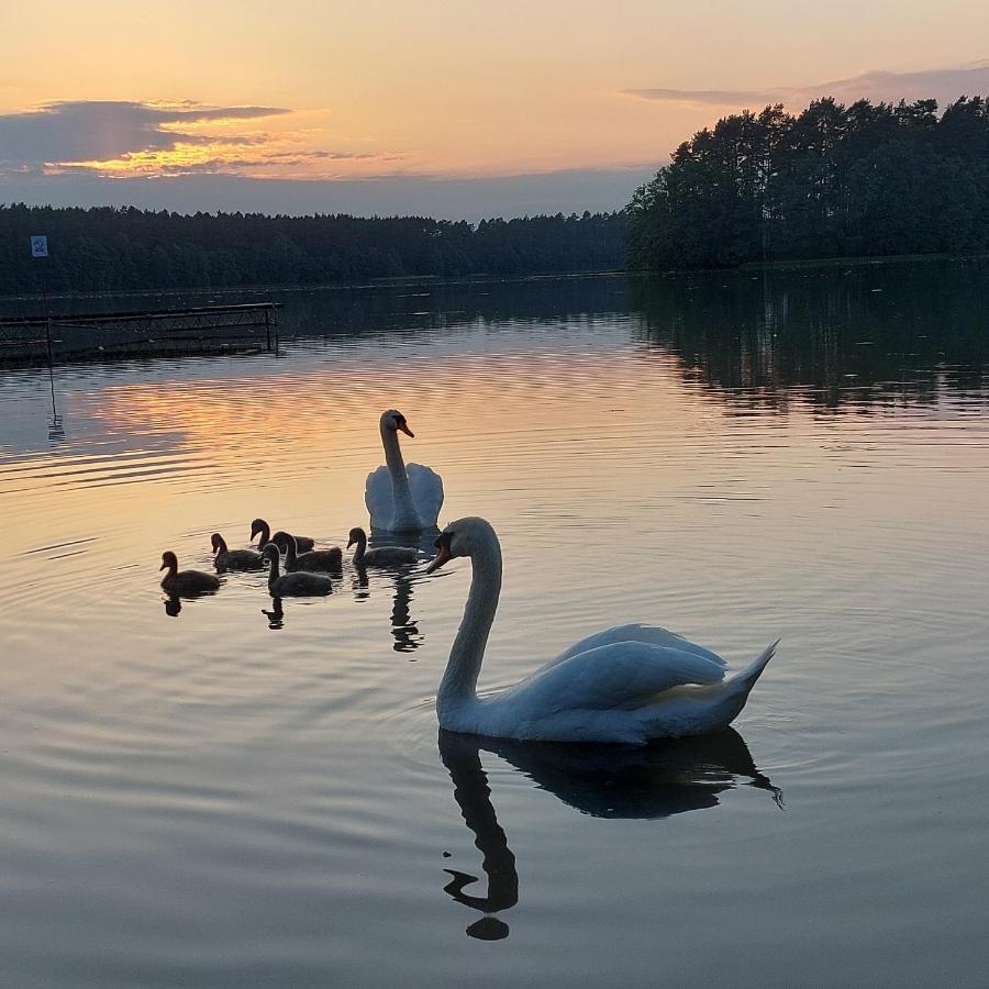 Domek Letniskowy U Marcina I Ani Borsk Exteriér fotografie