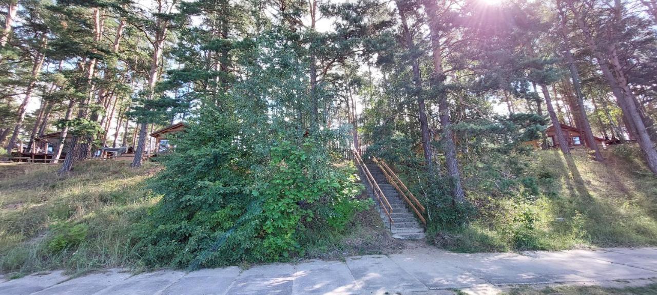 Domek Letniskowy U Marcina I Ani Borsk Exteriér fotografie