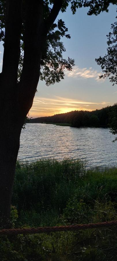 Domek Letniskowy U Marcina I Ani Borsk Exteriér fotografie